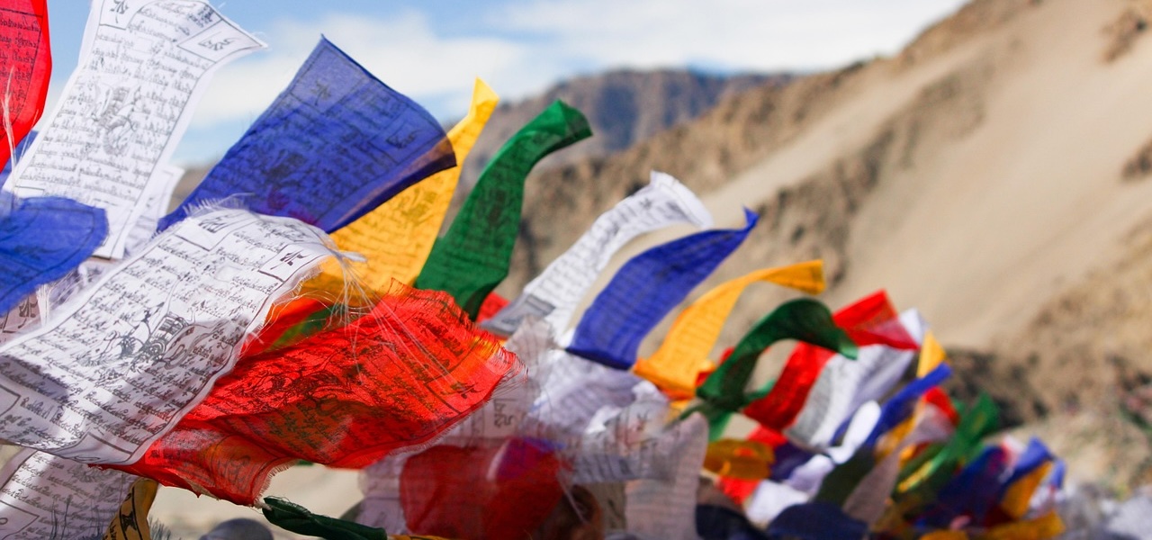 Zeeuitzicht van rotsen - paragnostenplatform